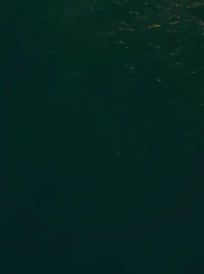 Filename=cap_000098.jpg
Filesize=40KiB
Dimensions=1920x1088
Date added=Nov 14, 2025 cap_000098.jpg