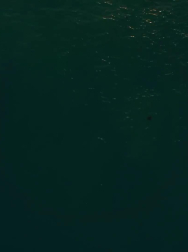 Filename=cap_000100.jpg
Filesize=40KiB
Dimensions=1920x1088
Date added=Nov 14, 2025 cap_000100.jpg