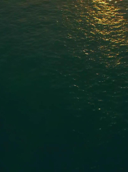 Filename=cap_000114.jpg
Filesize=96KiB
Dimensions=1920x1088
Date added=Nov 14, 2025 cap_000114.jpg