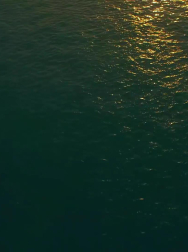 Filename=cap_000115.jpg
Filesize=105KiB
Dimensions=1920x1088
Date added=Nov 14, 2025 cap_000115.jpg