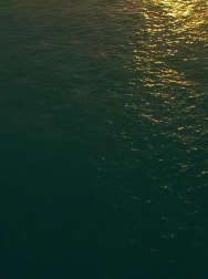 Filename=cap_000116.jpg
Filesize=112KiB
Dimensions=1920x1088
Date added=Nov 14, 2025 cap_000116.jpg