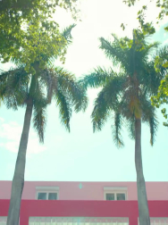 Filename=cap_000163.jpg
Filesize=227KiB
Dimensions=1920x1088
Date added=Nov 14, 2025 cap_000163.jpg