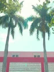 Filename=cap_000164.jpg
Filesize=190KiB
Dimensions=1920x1088
Date added=Nov 14, 2025 cap_000164.jpg