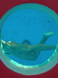 Filename=cap_000259.jpg
Filesize=59KiB
Dimensions=1920x1088
Date added=Nov 14, 2025 cap_000259.jpg