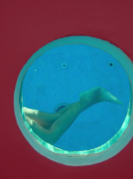 Filename=cap_000261.jpg
Filesize=52KiB
Dimensions=1920x1088
Date added=Nov 14, 2025 cap_000261.jpg