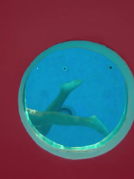 Filename=cap_000262.jpg
Filesize=50KiB
Dimensions=1920x1088
Date added=Nov 14, 2025 cap_000262.jpg