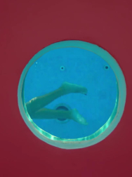 Filename=cap_000263.jpg
Filesize=49KiB
Dimensions=1920x1088
Date added=Nov 14, 2025 cap_000263.jpg