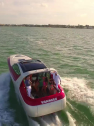 Filename=cap_000684.jpg
Filesize=237KiB
Dimensions=1920x1088
Date added=Nov 14, 2025 cap_000684.jpg