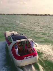 Filename=cap_000685.jpg
Filesize=227KiB
Dimensions=1920x1088
Date added=Nov 14, 2025 cap_000685.jpg