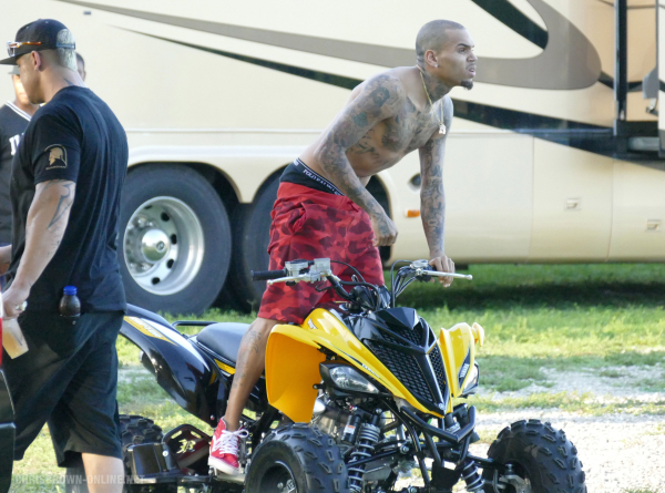 Click to view full size image