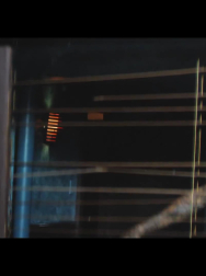 Filename=cap_000513.jpg
Filesize=328KiB
Dimensions=1920x1080
Date added=Nov 14, 2025 cap_000513.jpg