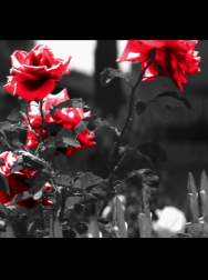 Filename=cap_000032.jpg
Filesize=114KiB
Dimensions=1920x1088
Date added=Nov 14, 2025 cap_000032.jpg