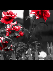 Filename=cap_000033.jpg
Filesize=116KiB
Dimensions=1920x1088
Date added=Nov 14, 2025 cap_000033.jpg