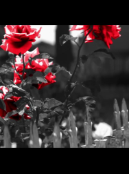 Filename=cap_000034.jpg
Filesize=117KiB
Dimensions=1920x1088
Date added=Nov 14, 2025 cap_000034.jpg