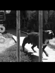 Filename=cap_000035.jpg
Filesize=141KiB
Dimensions=1920x1088
Date added=Nov 14, 2025 cap_000035.jpg