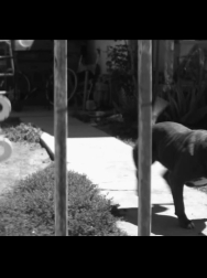 Filename=cap_000036.jpg
Filesize=139KiB
Dimensions=1920x1088
Date added=Nov 14, 2025 cap_000036.jpg