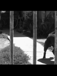 Filename=cap_000037.jpg
Filesize=134KiB
Dimensions=1920x1088
Date added=Nov 14, 2025 cap_000037.jpg