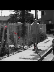 Filename=cap_000075.jpg
Filesize=155KiB
Dimensions=1920x1088
Date added=Nov 14, 2025 cap_000075.jpg