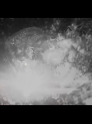 Filename=cap_000089.jpg
Filesize=81KiB
Dimensions=1920x1088
Date added=Nov 14, 2025 cap_000089.jpg