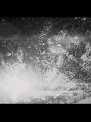 Filename=cap_000090.jpg
Filesize=119KiB
Dimensions=1920x1088
Date added=Nov 14, 2025 cap_000090.jpg