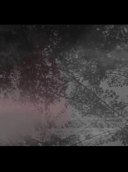 Filename=cap_000091.jpg
Filesize=103KiB
Dimensions=1920x1088
Date added=Nov 14, 2025 cap_000091.jpg