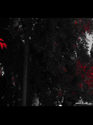 Filename=cap_000095.jpg
Filesize=115KiB
Dimensions=1920x1088
Date added=Nov 14, 2025 cap_000095.jpg