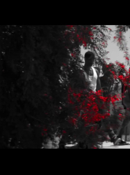 Filename=cap_000096.jpg
Filesize=113KiB
Dimensions=1920x1088
Date added=Nov 14, 2025 cap_000096.jpg