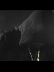 Filename=cap_000366.jpg
Filesize=57KiB
Dimensions=1920x1088
Date added=Nov 14, 2025 cap_000366.jpg