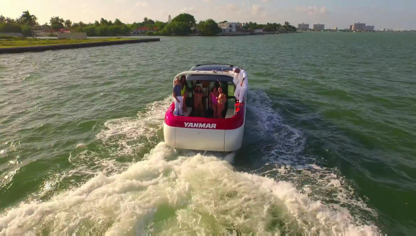 Click to view full size image