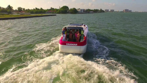 Click to view full size image