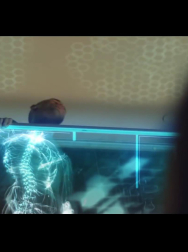 Filename=cap_000546.jpg
Filesize=83KiB
Dimensions=1920x1088
Date added=Nov 14, 2025 cap_000546.jpg