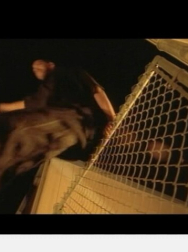 Filename=NDVD_013.jpg
Filesize=45KiB
Dimensions=640x480
Date added=Nov 13, 2025 NDVD_013.jpg