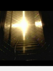 Filename=NDVD_018.jpg
Filesize=34KiB
Dimensions=640x480
Date added=Nov 13, 2025 NDVD_018.jpg