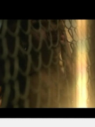 Filename=NDVD_617.jpg
Filesize=35KiB
Dimensions=640x480
Date added=Nov 13, 2025 NDVD_617.jpg